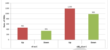 돌연변이체와 cc125의 up/down regulated DEGs