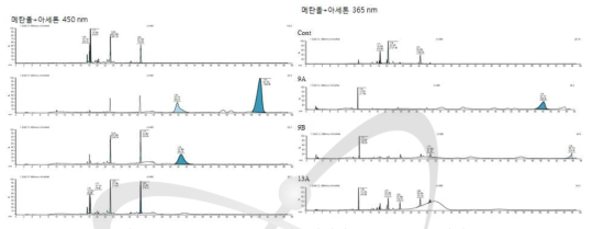 C. reinhardtii 돌연변이체의 LC-MS 프로파일