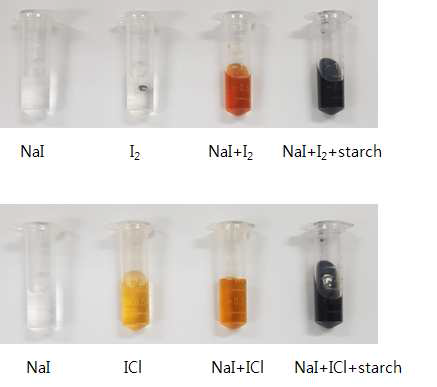 전분과 I2 또는 ICl 이용한 요오드 이온 (I-) 흡착 반응 확인