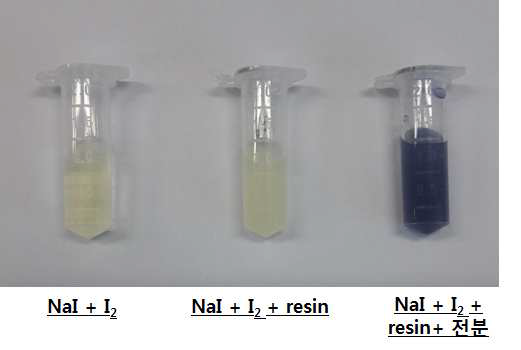 Resin 컬럼 활용을 위한 전분의 I3 - 흡착 영향 평가