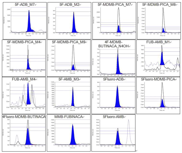 low QC 농도(1 pg/mg)의 5F-ADB, 5F-MDMB-PICA, FUB-AMB and 4F-MDMB-BUTINACA 및 5F-AMB와 그 대사체를 첨가한 모발 분석 MRM 크로마토그램