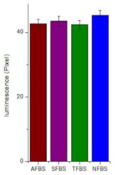 루미놀 반응력의 Image J 정량분석 데이터 그래프