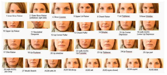 측정한 안면 미세 표정의 종류 예시