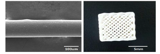 복합체 필라멘트(좌) 및 스캐폴드(우) 사진