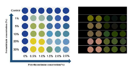 formaldehyde 감지 필름 변색(좌)와 변색 정도의 차이(우)