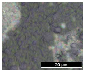 3차 년도에 새로운 조건으로 전기 방사를 통해 수 마이크로미터 이하의 필라멘트로 코팅 했을 때의 표면의 광학 현미경 사진