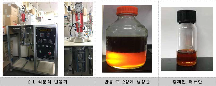 2L회분식 반응기를 이용한 퍼퓨랄 제조 공정