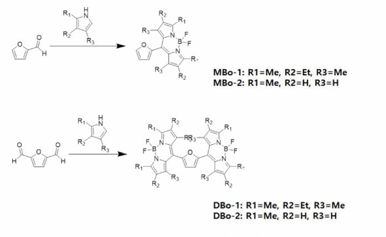 Bodipy 형광염료 합성도