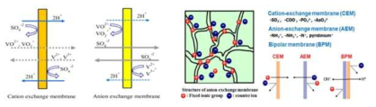 VRFB에서의 이온교환막 역할(좌) 및 이온교환막 종류별 역할(우) 개념도