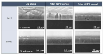 평탄제를 이용하여 도금한 도금막에 대한 어닐링 온도 별 단면 사진