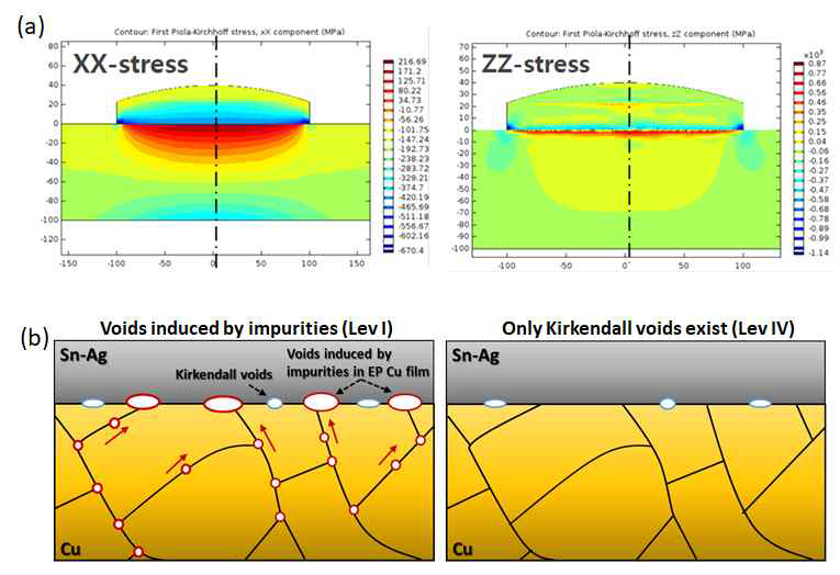 (a) FEM 전산모사에 의한 범프 내 stress 분석 결과 및 (b) 구리/솔더 계면 void 생성 모식도