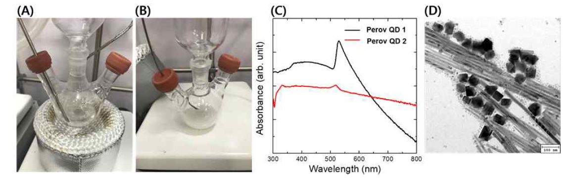 (A) YbBr3 무기화합물 기반의 반응 전구체. (B) Cs-oleate를 주입한 이후 반응 시간을 충분히 부여한 뒤 반응물 사진. (C) 무독성 기반 페로브스카이트 양자점의 합성을 진행한 결과물의 absorption spectra 및 (D) 투과전자현미경(TEM) 사진