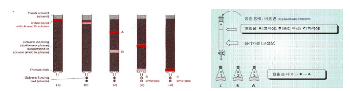 컬럼크로마토그램 분리의 도식적 표현 (좌) 및 분리 원리 (우)