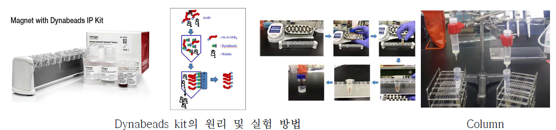 기능성 펩타이드 분리 정제 방법