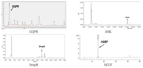 발효 생산물 4종 펩타이드 분리·정제 후 HPLC chromatography