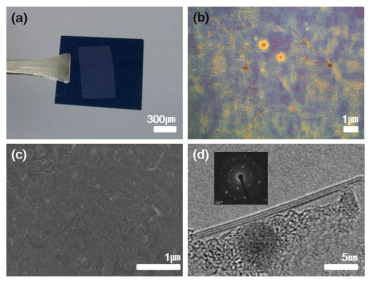 h-BN을 (a)맨눈으로 관찰한 모습과 (b) 광학현미경 이미지, (c) SEM 이미지, (d) TEM 이미지