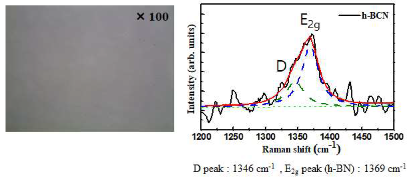 Roll-to-Roll 공정으로 전사한 h-BCN의 SEM 이미지 및 Raman 측정 결과