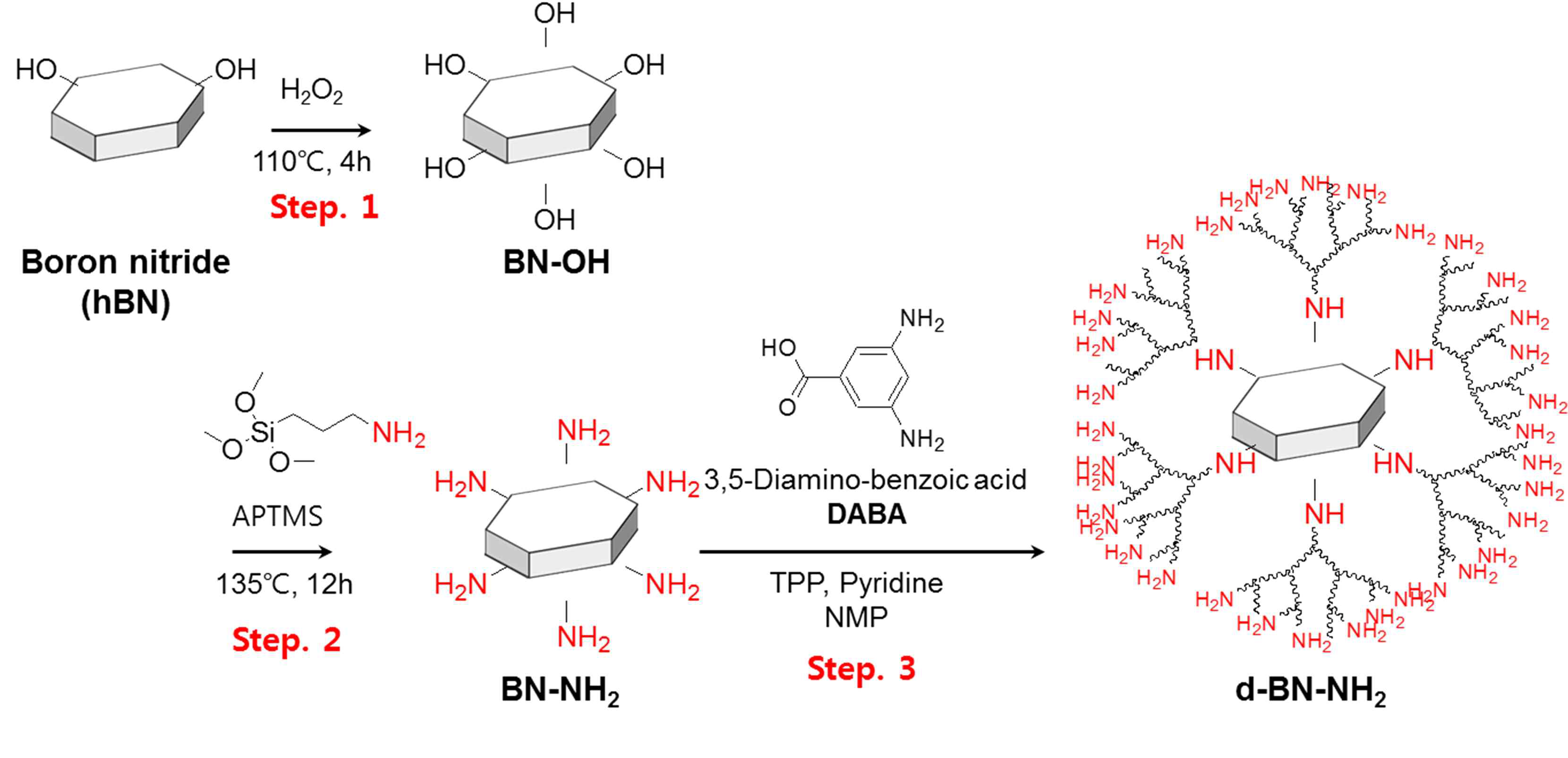 h-BN 화학적 합성 scheme