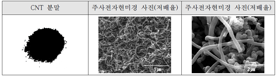 본 연구의 복합분말 제조에 사용된 CNT 분말의 크기 및 형상