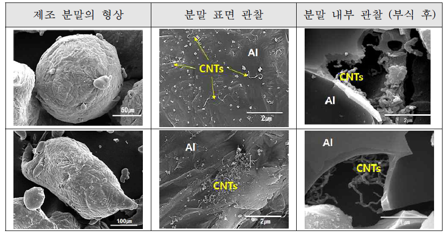 가스분무법으로 제조된 Al-CNTs 복합분말 및 CNT 분산 형상