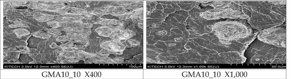 재생 원료 PP/ MAH-g-PP/Cellulose nanofiber 복합소재 모폴로지