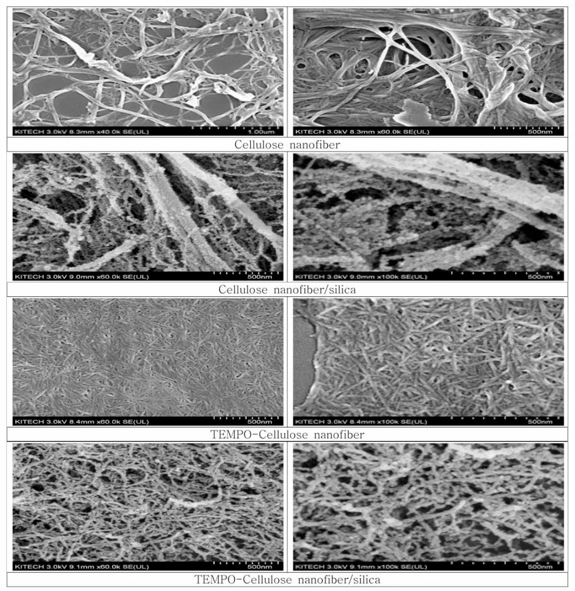 Cellulose nanofiber, Cellulose nanofiber/Silica 및 TEMPO - Cellulose nanofiber 및 TEMPO - Cellulose nanofiber/Silica 복합소재 모폴로지