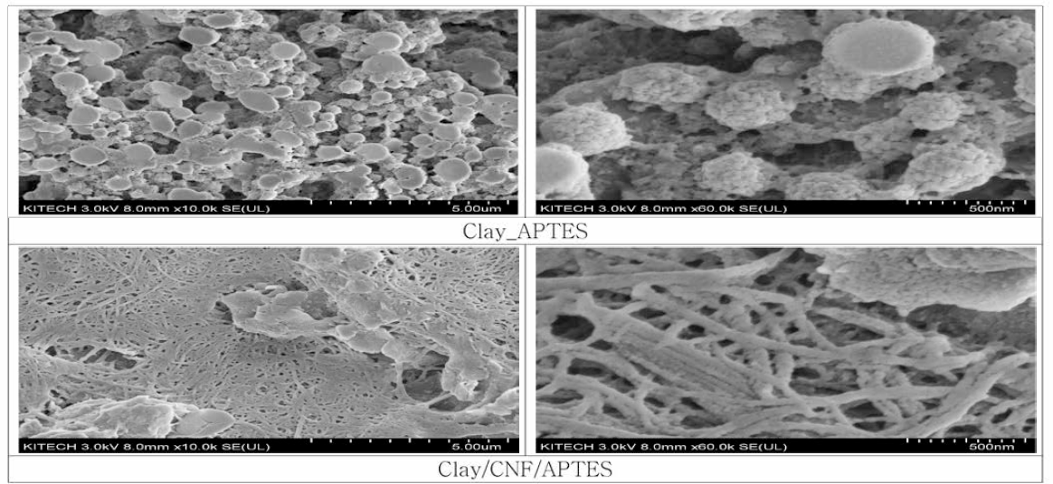 Clay/APTES 및 Clay/CNF/APTES 복합소재 모폴로지