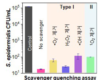 ROS scavenger quenching에 따른 표피포도구균 비활성화 비교