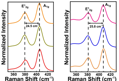 합성 된 MoS2 박막의 Raman Spectroscopy 분석