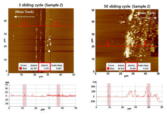 열처리 전 MoS2-SiO2 나노구조체 (Sample2) 코팅막에 대한 마모도 관찰