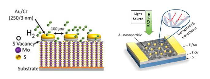 MoS2 박막의 구조체 변형을 응용한 수소센서 및 Photodetector 구현 예시