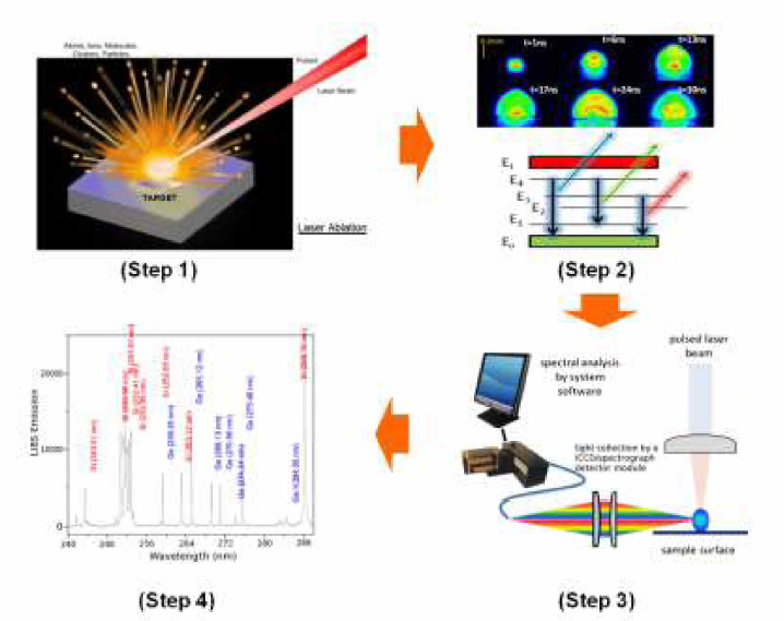 LIBS 측정 개략도