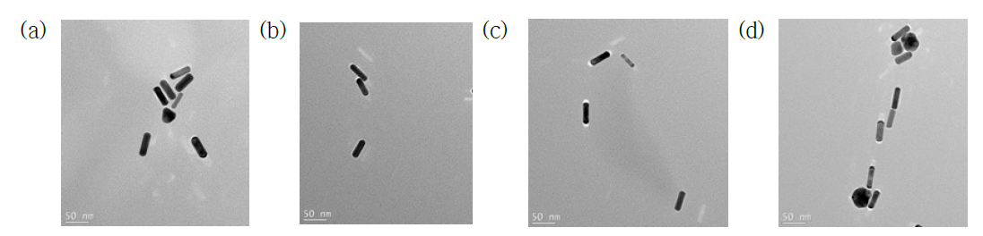 AuNR의 TEM morphology. (a) NaBH4 600 ㎕, (b) NaBH4 800 ㎕, (c) NaBH4 1,000 ㎕, (d) NaBH4 1,200 ㎕