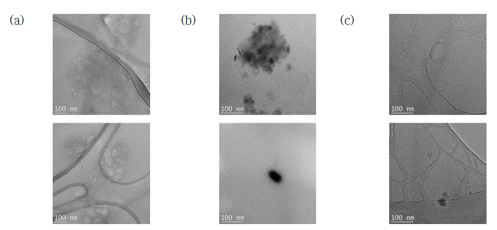 HA의 Emulsion 투석 후 TEM Morphology. (a) non-irradiation HA, (b) 10 kGy HA, (c) 20 kGy HA