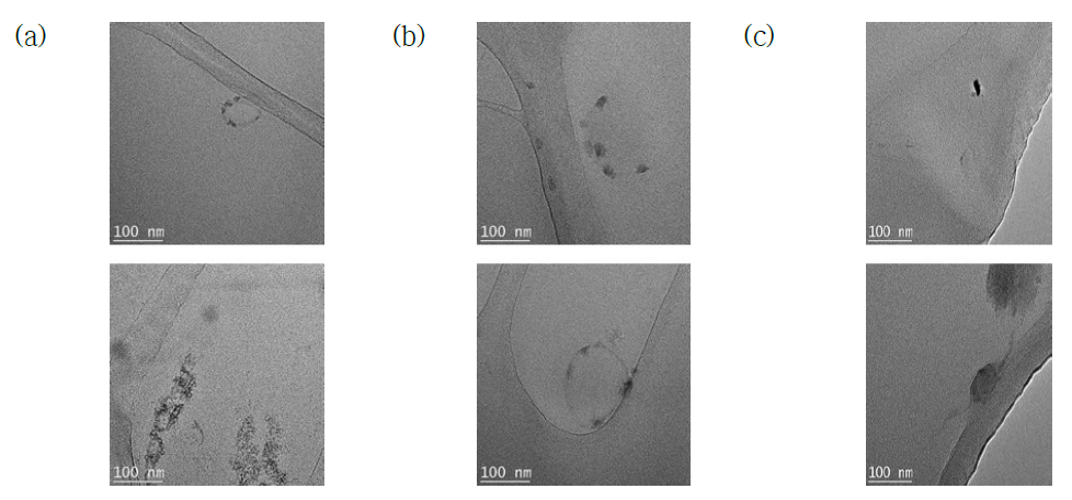 원심분리 회전 속도 및 전자선 조사량에 따른 TEM Morphology. (a) 12,000 rpm, Non-irradiation HA, (b) 9,000 rpm, 10 kGy HA, (c) 6,000 rpm, 20 kGy HA