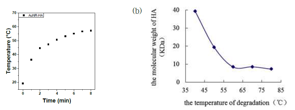 (a) HA로 코팅된 나노입자의 시간에 따른 온도변화, (b) 온도에 따른 HA 분자량 변화