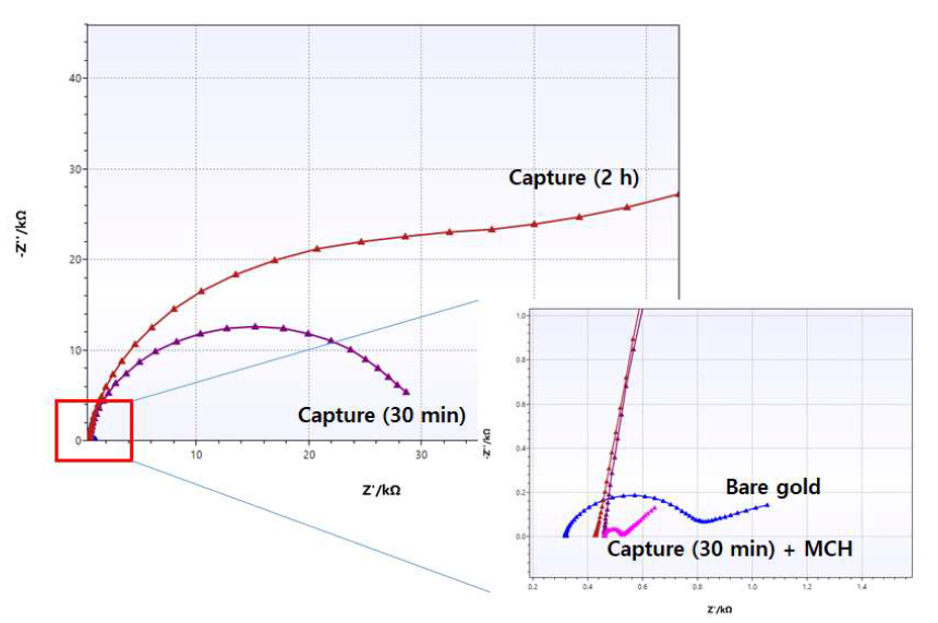 TCEP 처리한 Capture Probe Incubation 시간 및 MCH 처리에 따른 EIS 분석 결과