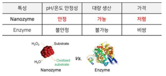 효소(enzyme)대비 나노자임(nanozyme) 장점