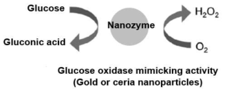 Glucose oxidase 활성을 띄는 나노자임의 화학반응식