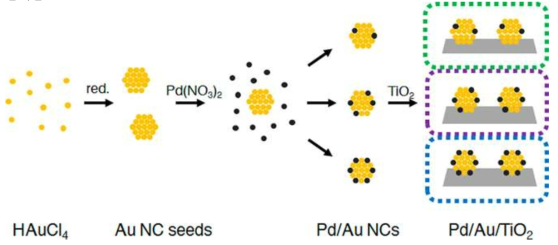 Au나노입자 표면에 Pd 단원자가 형성된 Pd/Au 나노입자 합성과정