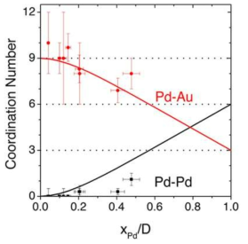Pd/Au 나노입자에 대한 배위수 실험값 및 계산값 비교