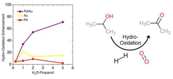 Au, Pd, Pd/Au 나노촉매의 H₂/2-propanol 비율에 따라 변하는 2-propanol의 하이드로산화반응에서의 acetone 수득율 비교
