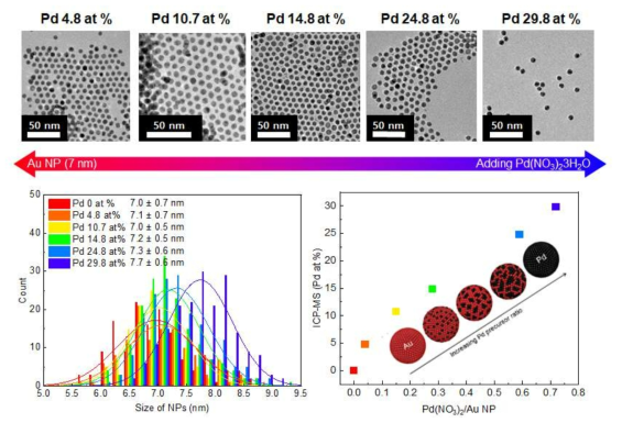 Pd/Au 나노 촉매의 TEM 이미지 및 나노입자 크기 분포도와 ICP-MS 측정 결과