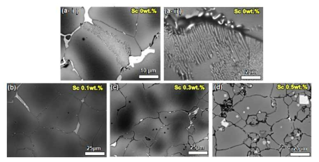 High Zn-Al + Sc 합금조성 시편의 SEM 분석 결과