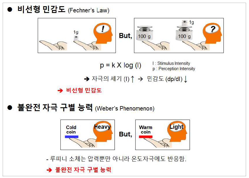 실제 인체 피부의 한계점