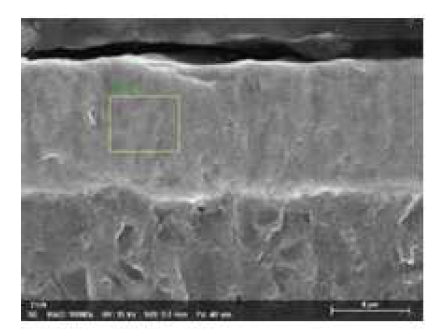 하이브리드 코팅 적용 공정의 SEM 단면 분석 결과
