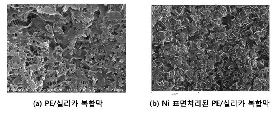 PE/실리카 복합막 (a)과 Ni 표면처리된 PE/실리카 복합막(b)의 표면특성