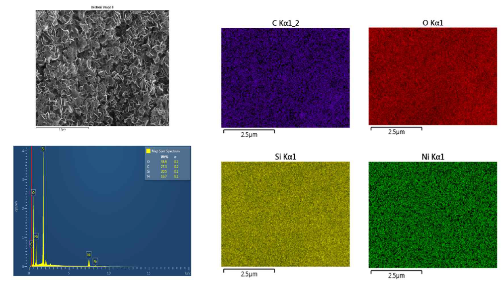 Ni 표면처리된 PE/실리카 복합막의 성분분석 및 Mapping