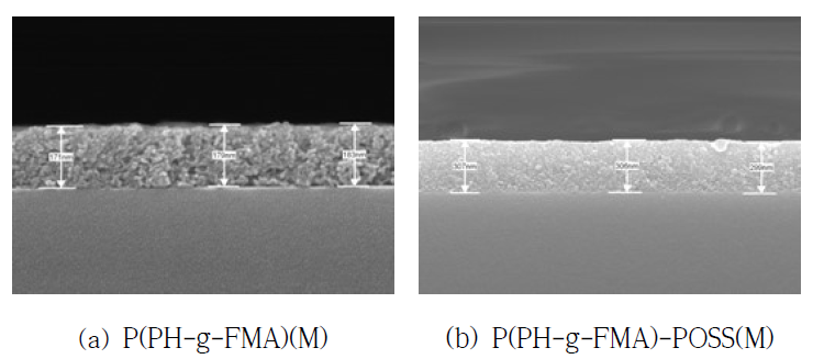 P(PH-g-FMA)(M) 및 P(PH-g-FMA)-POSS(M)의 FE-SEM 사진 (Cross section)