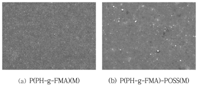 (PH-g-FMA)(M) 및 P(PH-g-FMA)-POSS(M)의 FE-SEM 표면 사진